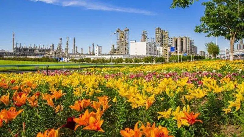 精细化工产品环保检测：常规与特殊检测的区别解析
